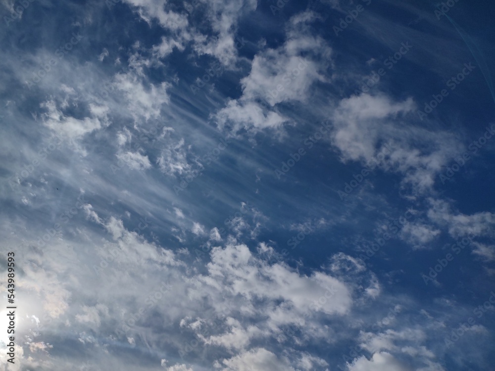 Obraz premium 東京のそら(22.11.7)