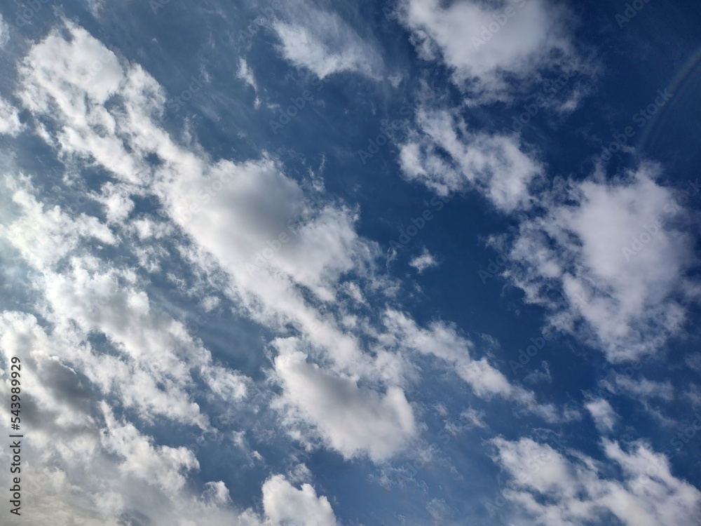 Obraz premium 東京のそら(22.11.7)