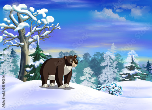 Bear in a winter forest illustration