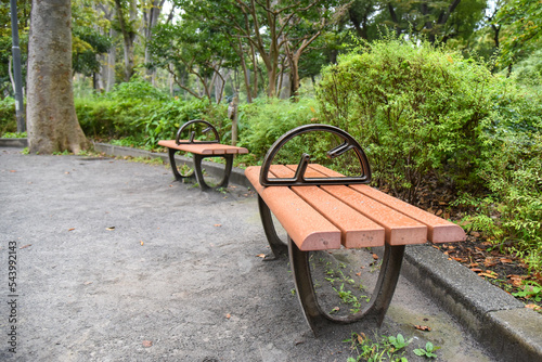 新宿中央公園のベンチ photo
