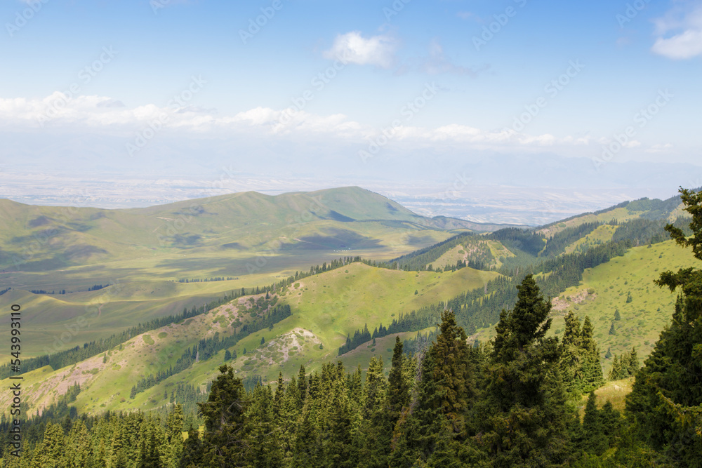 Summer mountain landscape high in the mountains. Tall trees of Christmas trees, ski lift at the ski base Summer mountain landscape high in the mountains. Tall trees of Christmas trees, ski lift at the ski base