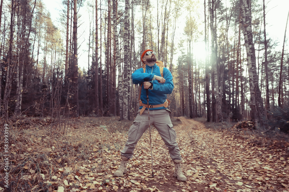 autumn camping in the forest, a male traveler is walking through the forest, yellow leaves landscape in October. autumn camping in the forest, a male traveler is walking through the forest, yellow leaves landscape in October.