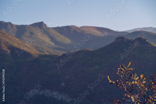 Armenia mountain gorge autumn view. Tree branch close-up with blurred mountains background. Mountain range a picturesque landscape view with blue sky. Stock photography.