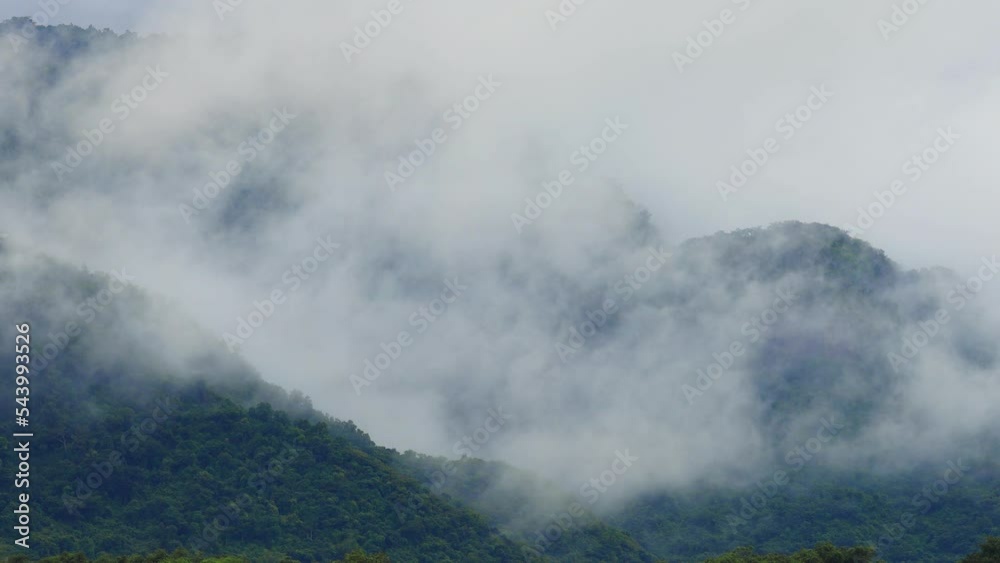 Mist flowing through the mountain valley at Khao Yai National Park, Thailand
Mist flowing through the mountain valley at Khao Yai National Park, Thailand
