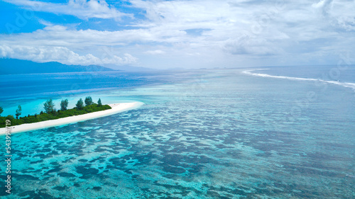 Coral Coastline