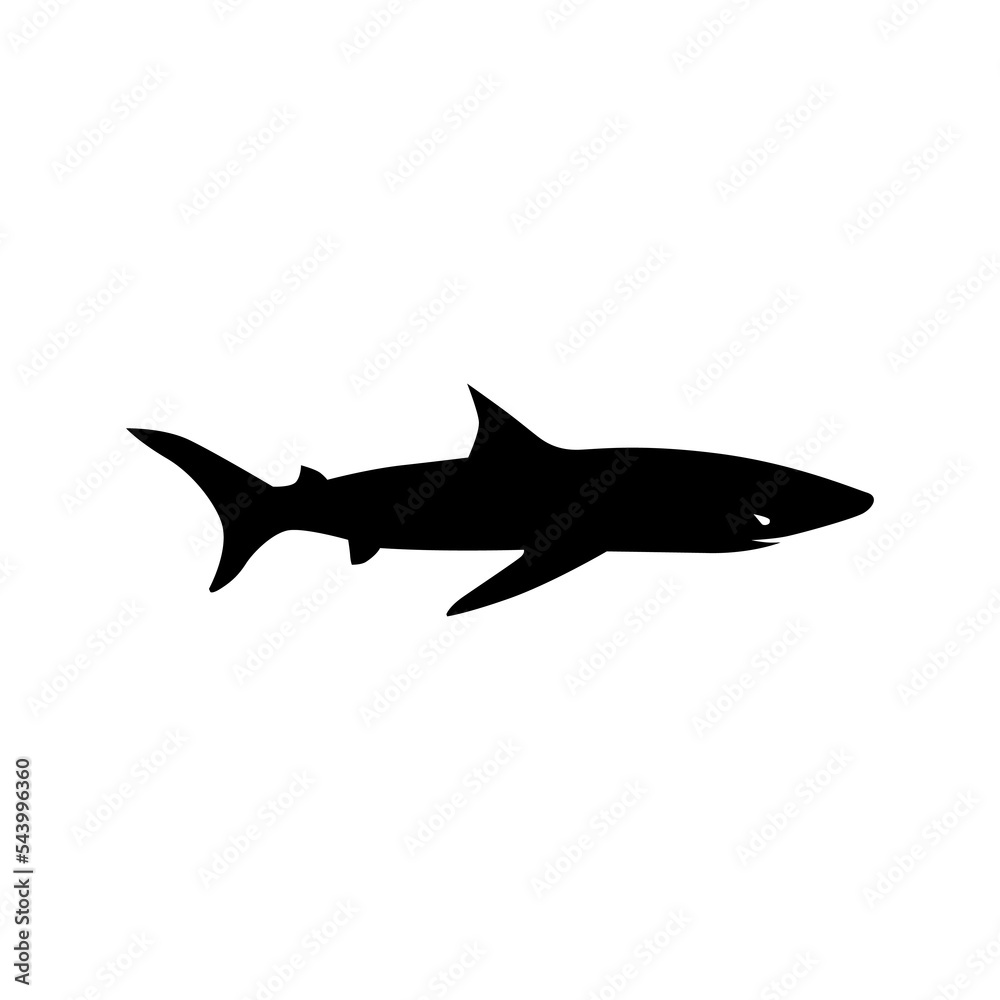 Obraz premium Shark silhouette illustration