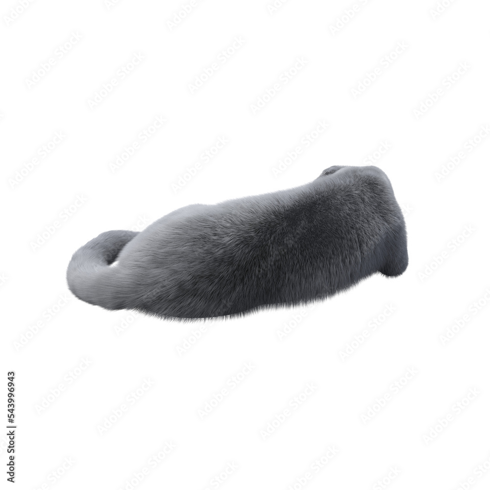 cat isolated on white background, 3D illustration, cg render cat isolated on white background, 3D illustration, cg render