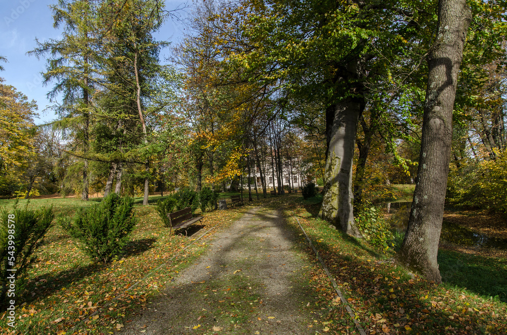 Park w Iwoniczu koło dworu Załuskich 