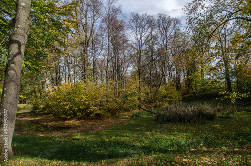 Fototapeta Naklejka Na Ścianę i Meble -  Park w Iwoniczu koło dworu Załuskich 