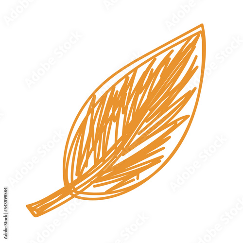 Autumn leaf sketch. Hand drawn vector illustration. Pen or marker doodle plant