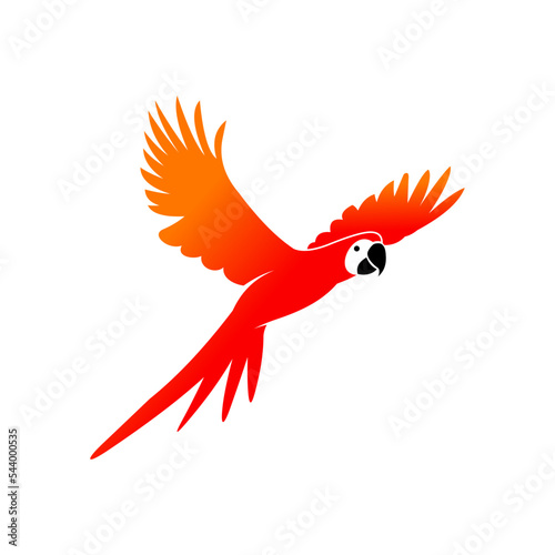 red macaw parrot