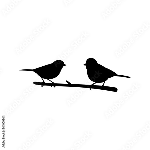 vector drawing two birds sitting on branch
