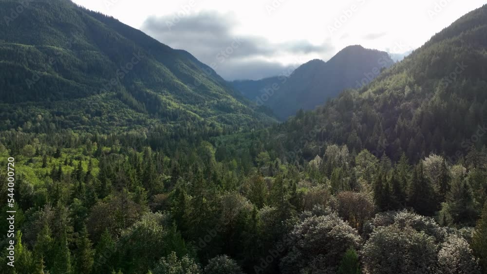 Rising aerial view revealing a never ending forest in the Cascade Mountains. Rising aerial view revealing a never ending forest in the Cascade Mountains.