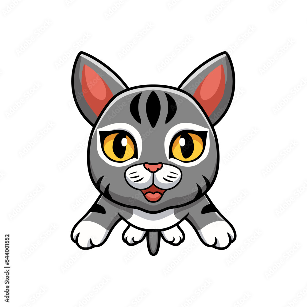 Cute manx cat cartoon flying