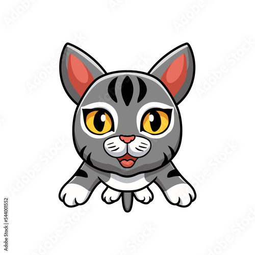 Cute manx cat cartoon flying © frescostudio