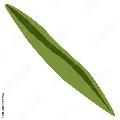 Green pea vector illustration in flat color design