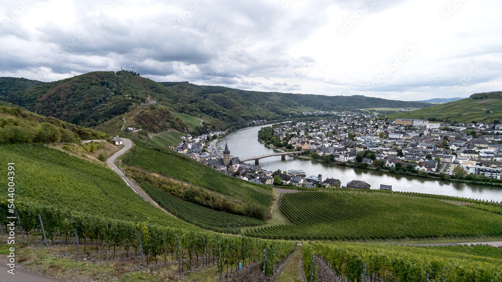 Naklejka premium Landscape photo Vineyards with castle in Bernkastel on the Moselle in Rhineland-Palatinate, Germany. cloudy sky