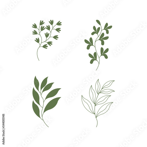 Green leaf collection. branch, leaf, tropical leaf, essential. Perfect for vector element designs,