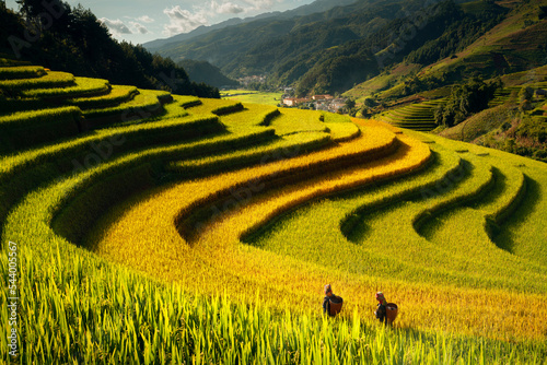 Farmer in Mu cang chai village walking on the mountain and golden rice terraces photo
