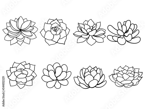 Set outlines cactus and succulents in doodle style. Hand drawn cactus black and white line art set. Vector illustration on white background in line style.