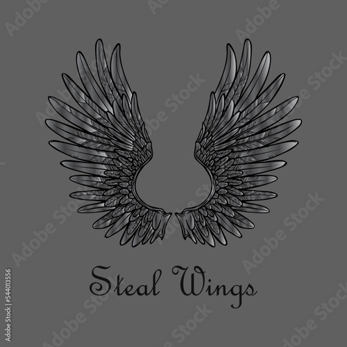 metal wing of a angel