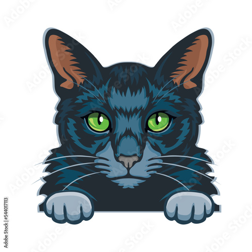 Russian Blue Cat Color Vector, Peeking Cats, Cats Breed, Pet Vector portrait, Cats Head