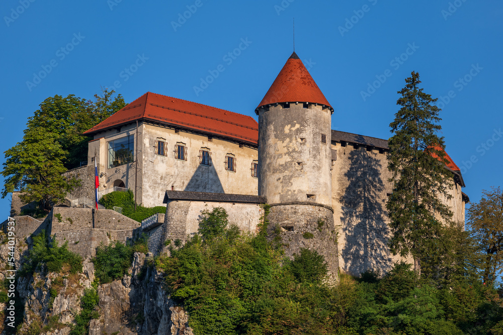 The Bled Castle In Slovenia