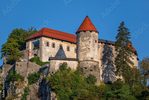 The Bled Castle In Slovenia