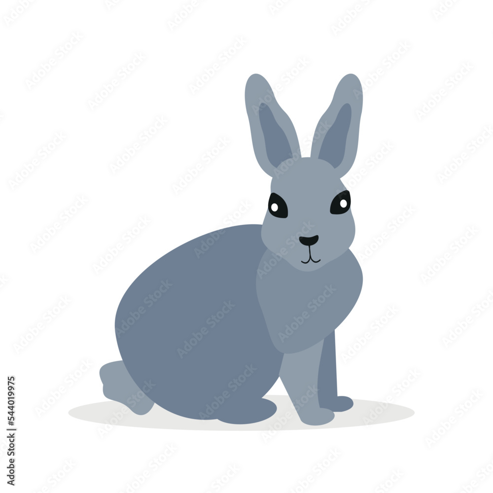 Obraz premium Gray rabbit, hare, forest animal