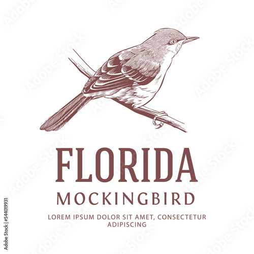 Obraz na płótnie Vintage Bird Logo. Mockingbird. State Bird Symbol of Florida