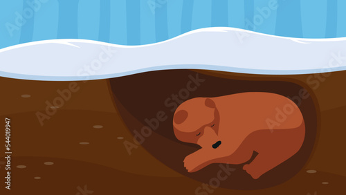 Bear hibernating in a den in winter