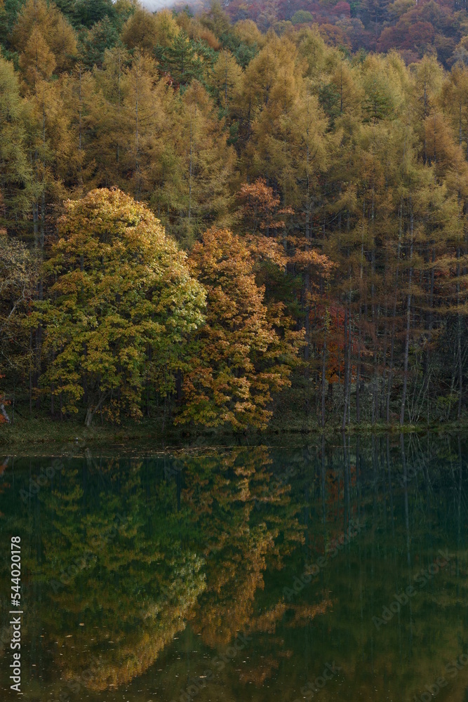 山の中の秋色に色付き始めた森と池の風景