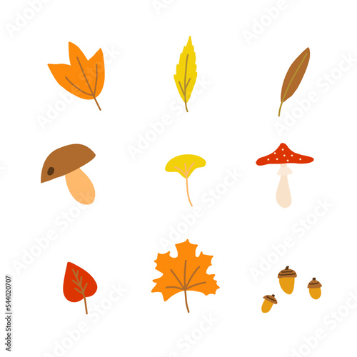 Hand drawn style vector illustration set of fall forest nature elements such as twigs and branches, mushroom, acorns, berries, leaves of maple, birch, aspen. Color sketch isolated on white