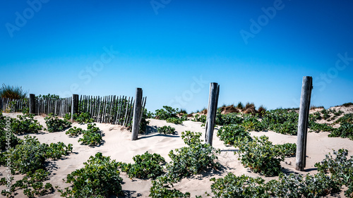 Clôture dans les dunes sur une plage du nord dans le Pas de Calais 