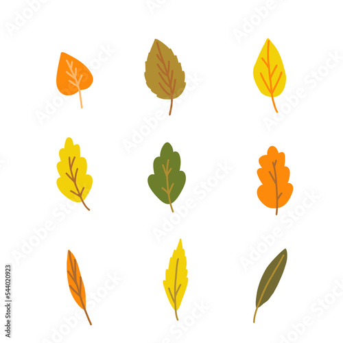 Hand drawn style vector illustration set Hand drawn style vector illustration set of orange, green, yellow fall leaf birch, aspen, rowan and oak. Set of multicolored autumn leaves. Color sketch