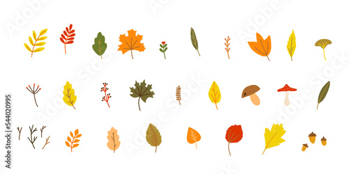 Hand drawn style vector illustration set of fall forest nature elements such as twigs and branches, mushroom, acorns, berries, leaves of maple, oak, birch, aspen. Color sketch isolated on white