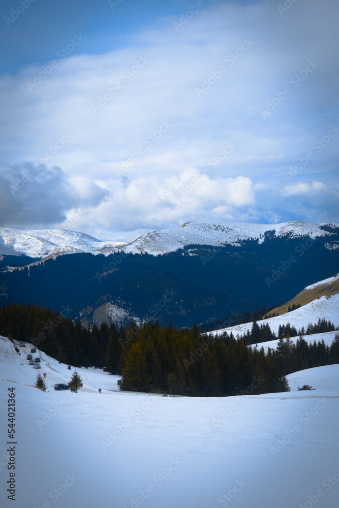 snow covered mountains