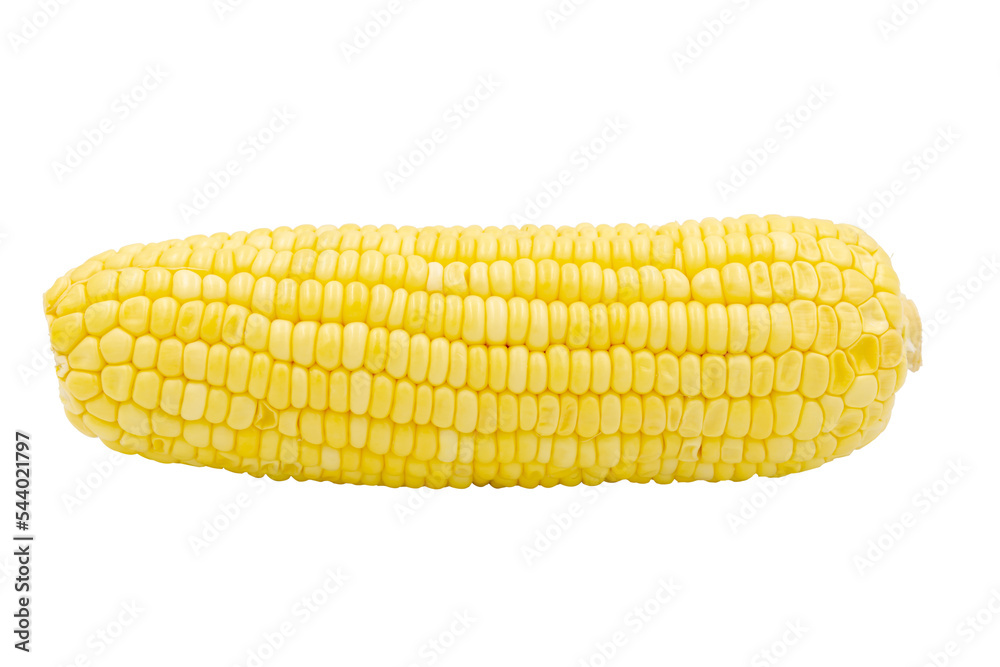 Corn isolated on white background with clipping path
