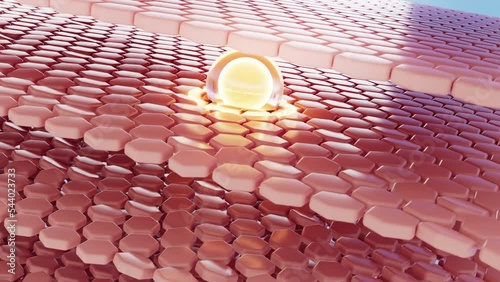 3D rendering animation, close up Drops of oil absorbed into the layers of skin from the top to the bottom, loop design for use in skin cream advertisements, beauty skin concept