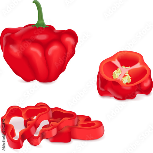 Whole, quarter, slices, and wedges of Red scotch bonnet peppers. Capsicum chinense. Hot chili pepper. Fresh organic vegetables. Vector illustration isolated on white background.