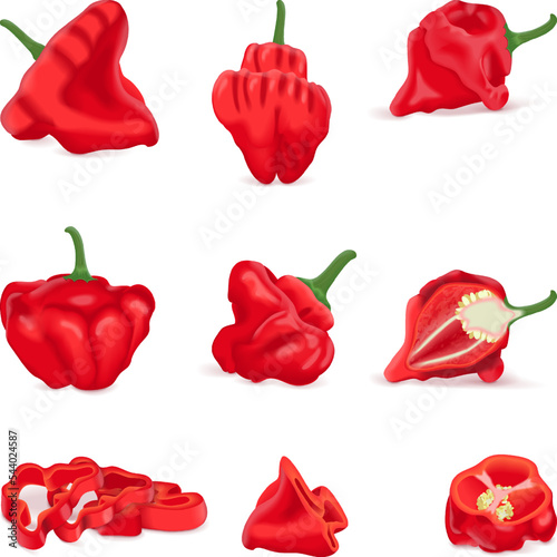 Set with whole, half, quarter, slices, and wedges of Red scotch bonnet peppers. Capsicum chinense. Hot chili pepper. Fresh organic vegetables. Vector illustration isolated on white background.