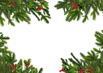 Natural green Christmas tree branches framery with red hawthorn berries, blank copyspace isolated