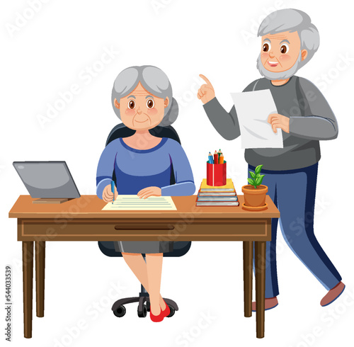 Senior couple using computer