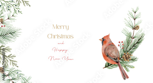 Watercolor vector Christmas card with cardinal bird, fir branches and place f...