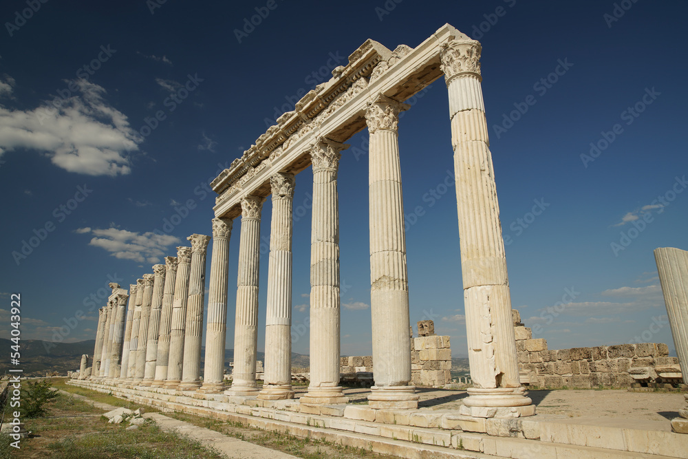 Obraz premium Columns in Laodicea on the Lycus Ancient City in Denizli, Turkiye