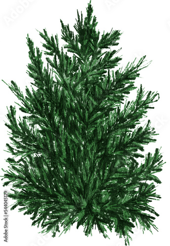 Evergreen pine tree with Christmas lights. Watercolor illustration. Farmhouse Christmas tree on the transparent background.