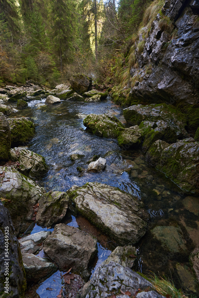River from a karst spring in the mountains River from a karst spring in the mountains