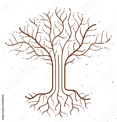 Beautiful tree vector linea...