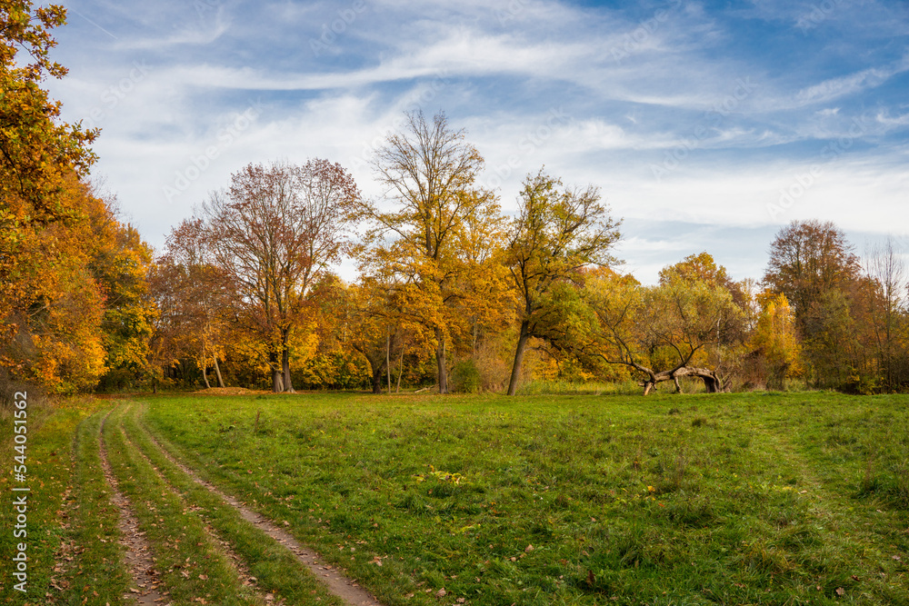 Beautiful colorful vivid autumn walk in forest and meadow, Czechia