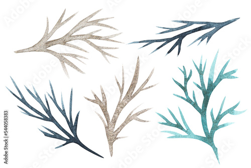 Watercolor drawing isolated trees branches set isolated objects